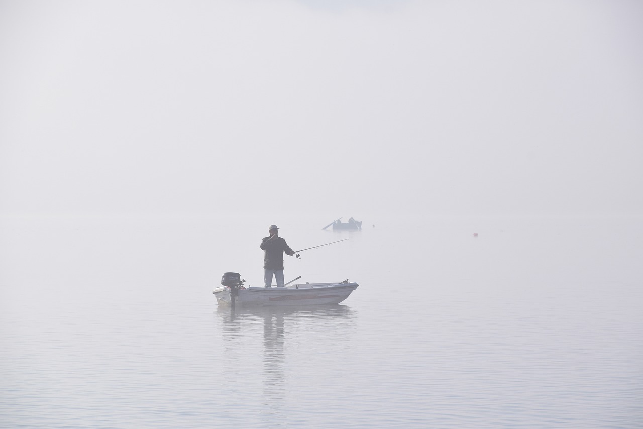 lake, fishing, fog-5649878.jpg